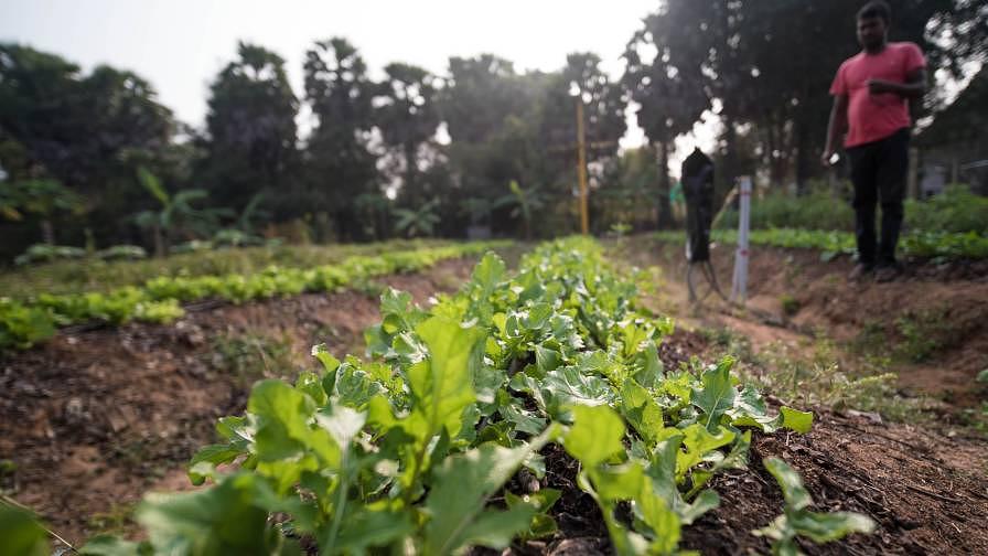 Precision Farming