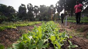 Precision Farming