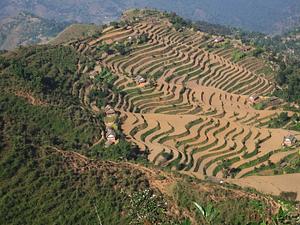 Himalayan Permaculture Centre