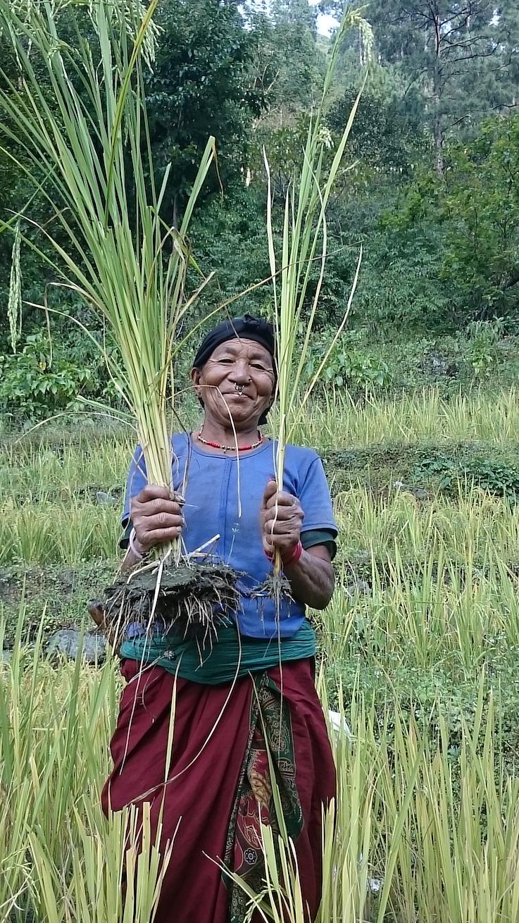 Himalayan Permaculture Centre