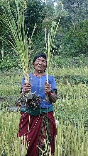 Himalayan Permaculture Centre