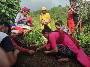 Participants on village training make vegetable nursery Surkhet