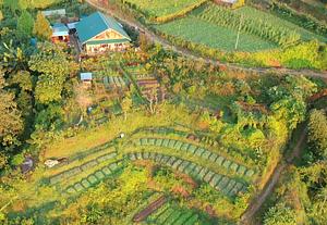 Almost Heaven Farms