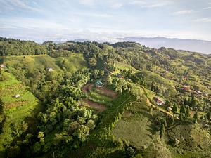 Permaculture research, design and development