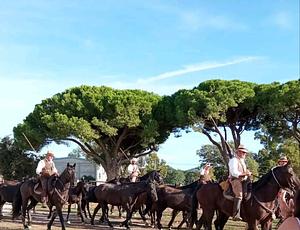 Grosseto