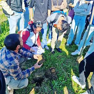 Sustainable Food System