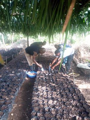 Action for Empowerment and Sustainable Livelihood (AESL)