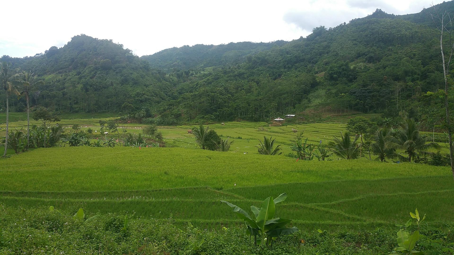 Organic Farming