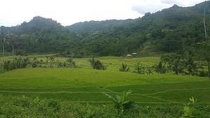 Organic Farming
