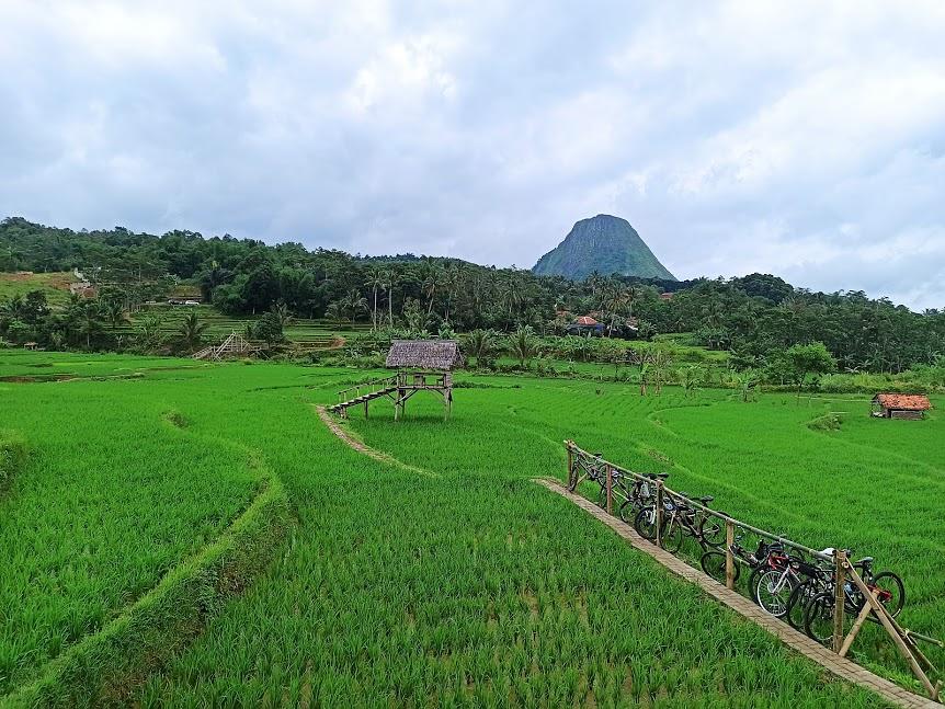 Berani Farm