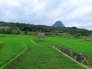 Berani Farm