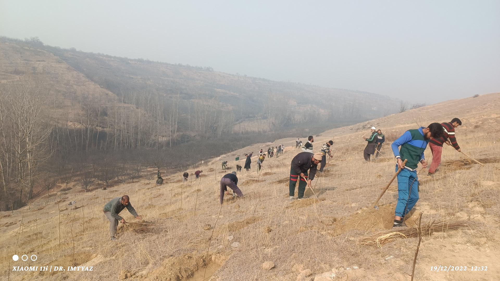 Department Of Social Forestry, Jammu & Kashmir
