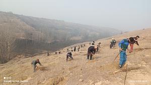 Department Of Social Forestry, Jammu & Kashmir