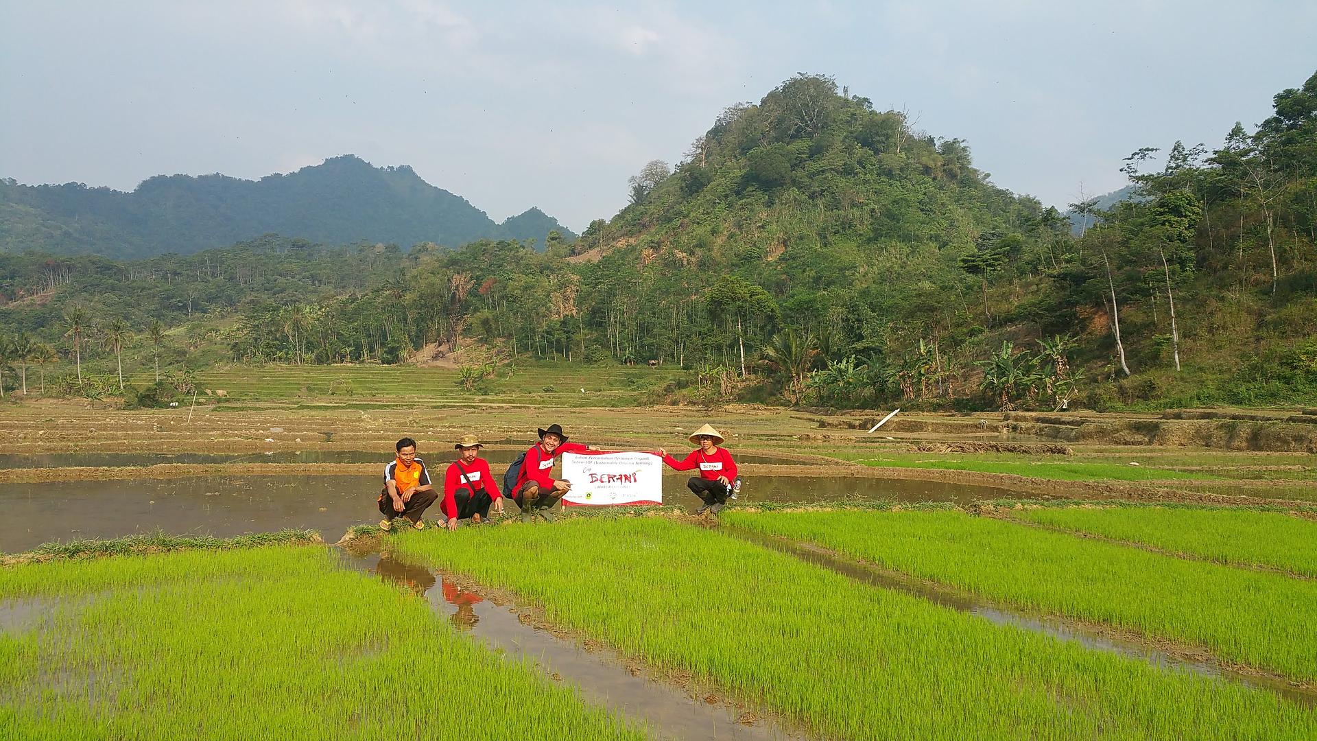 Organic Farming