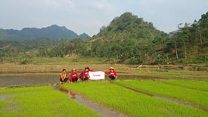Organic Farming