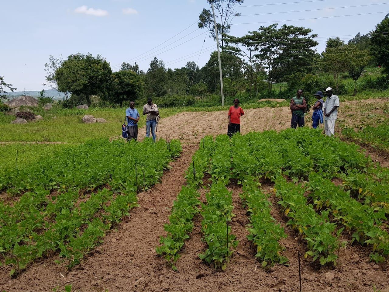 Soil health management