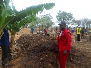 Water harvesting, manure making, agro forestry, crop and livestock diversification