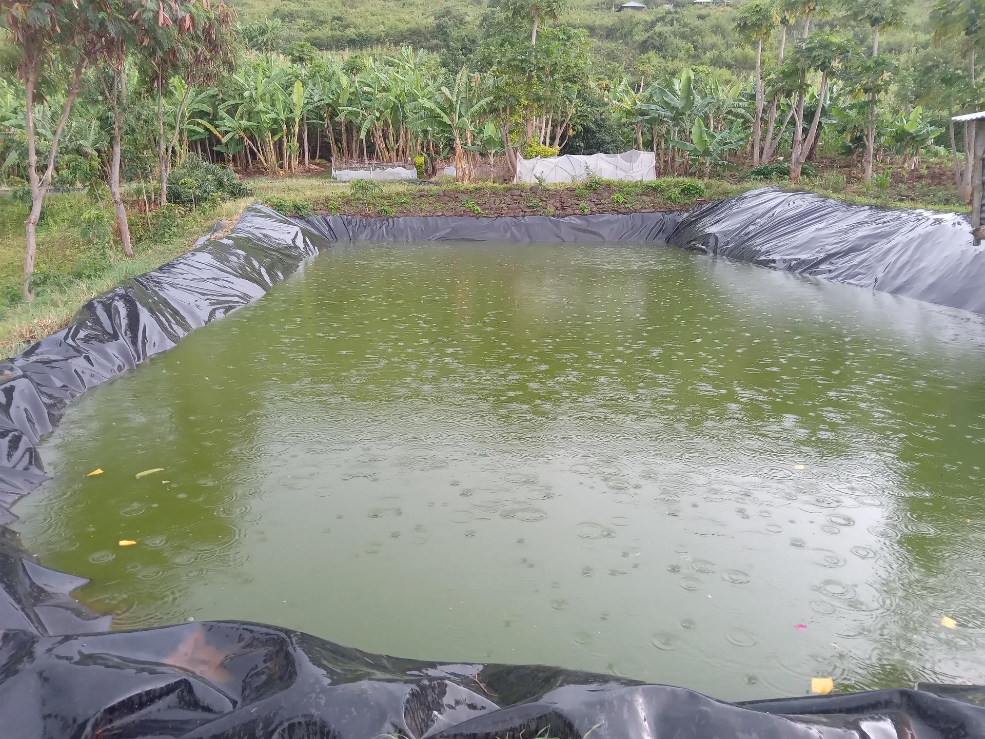 Fish farming
