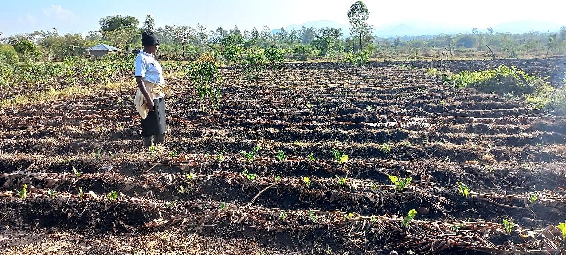 soil health management