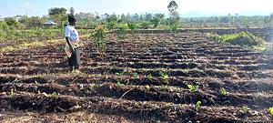 soil health management