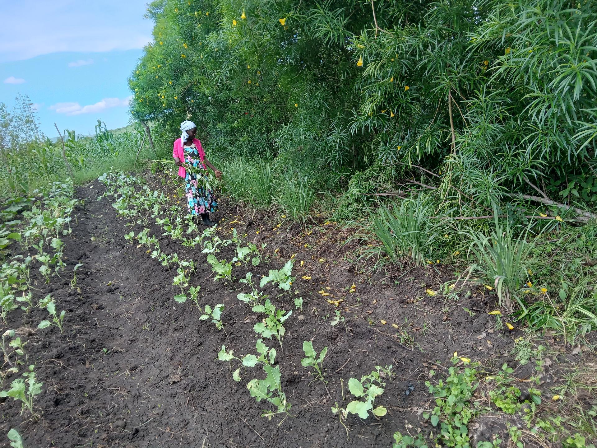 soil health management