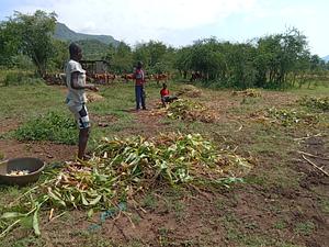 Sulman Akoko