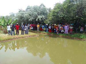 Farming Families During A Look And Learn Visit To Shashe Ae School