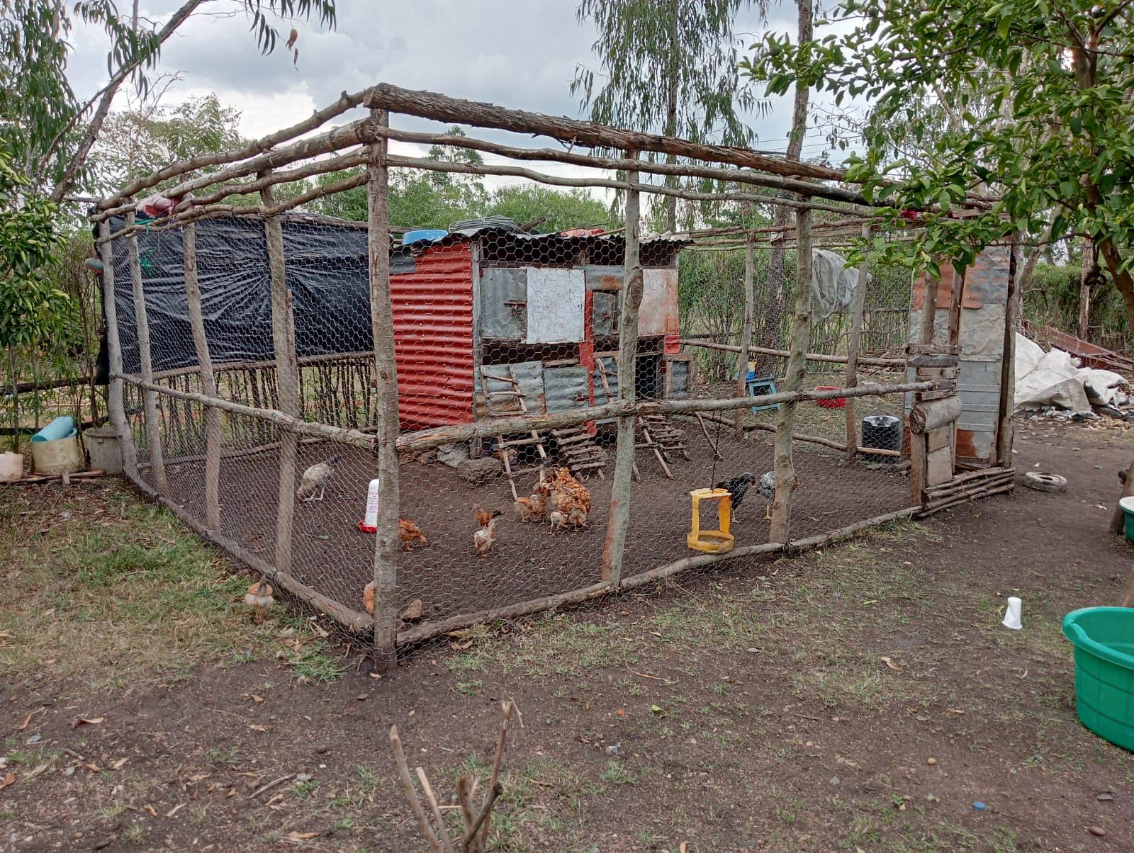 Poultry farming