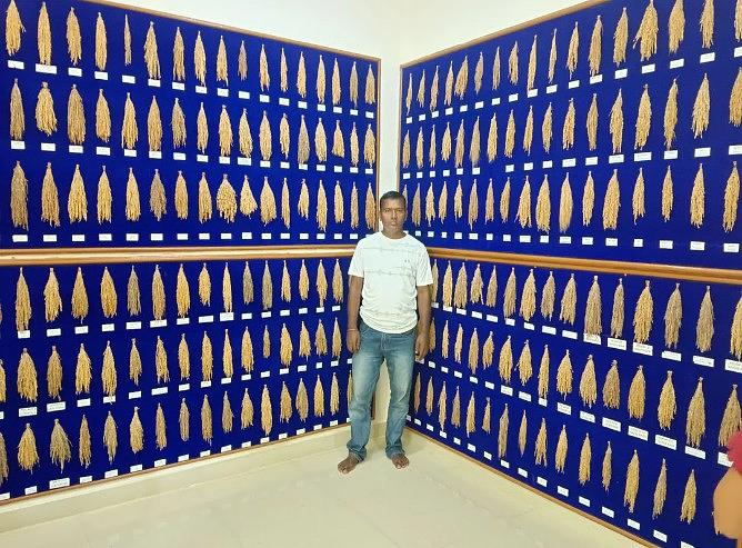 Annapurna Seed Library