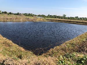 Soil and Water Restoration in Wetlands
