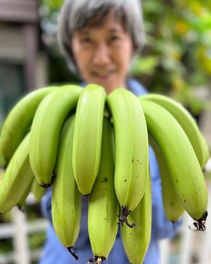 Banana harvest started in 2017 and we started selling GAP-certified banana in 2023.