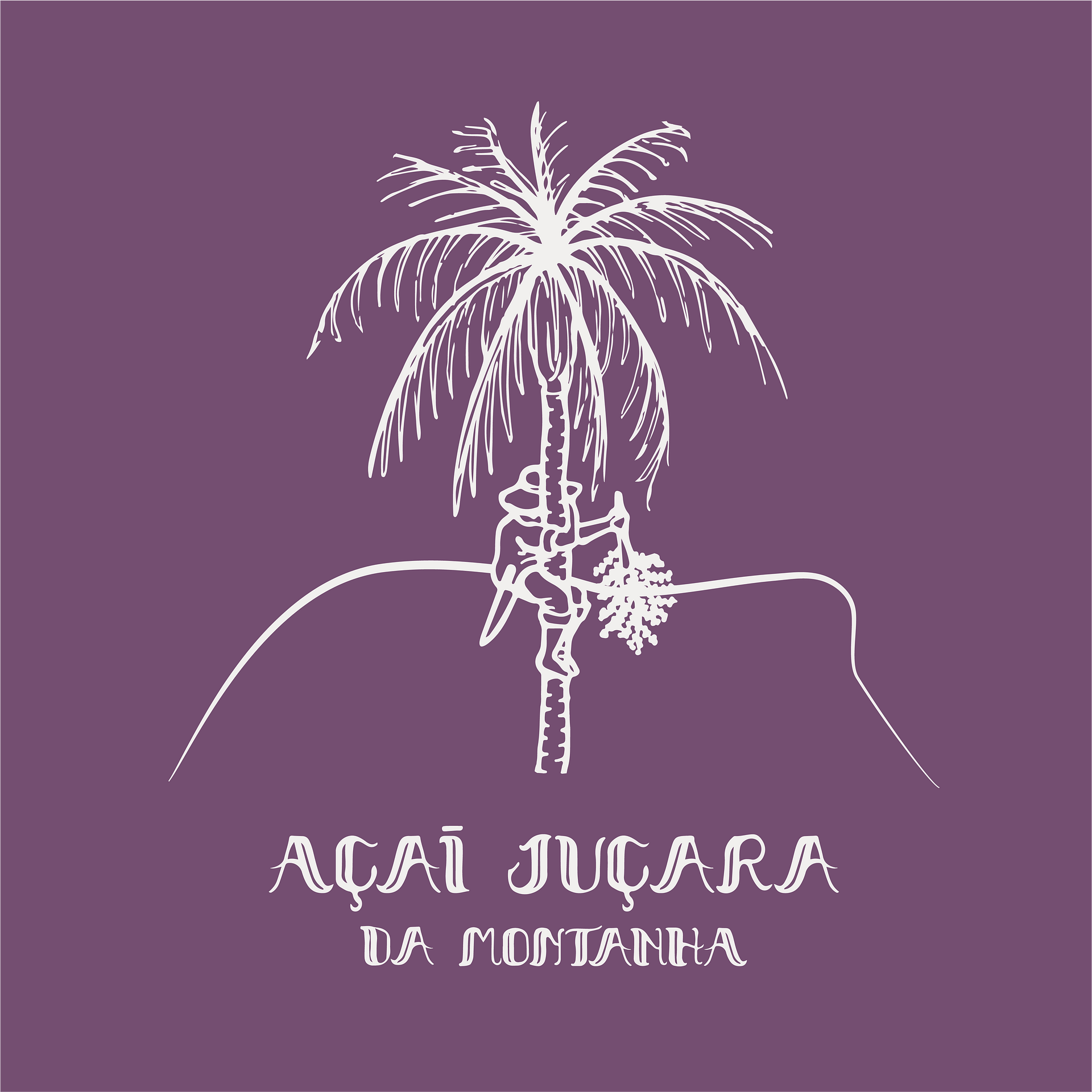 Açaí-juçara da Montanha