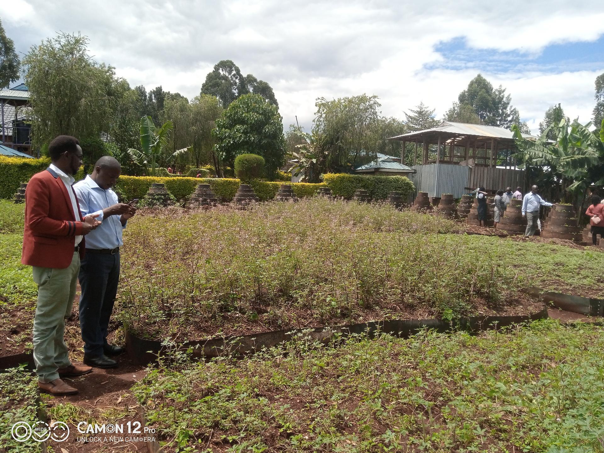 Kericho county