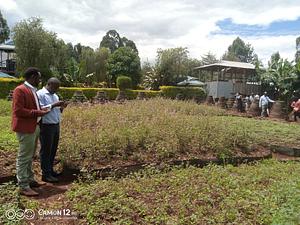 Kericho county
