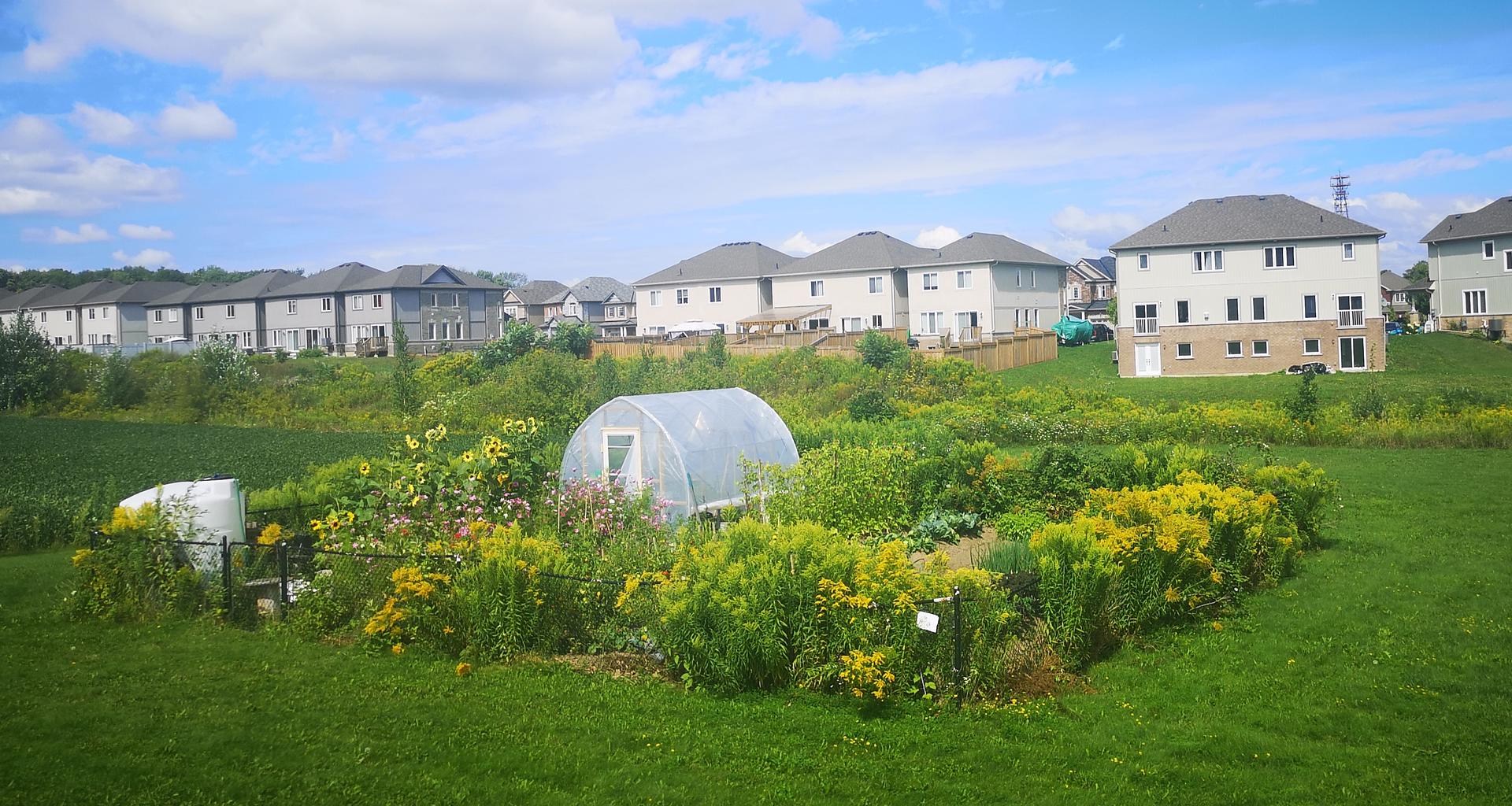 Agroecological Learning Commons