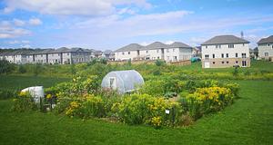 Agroecological Learning Commons