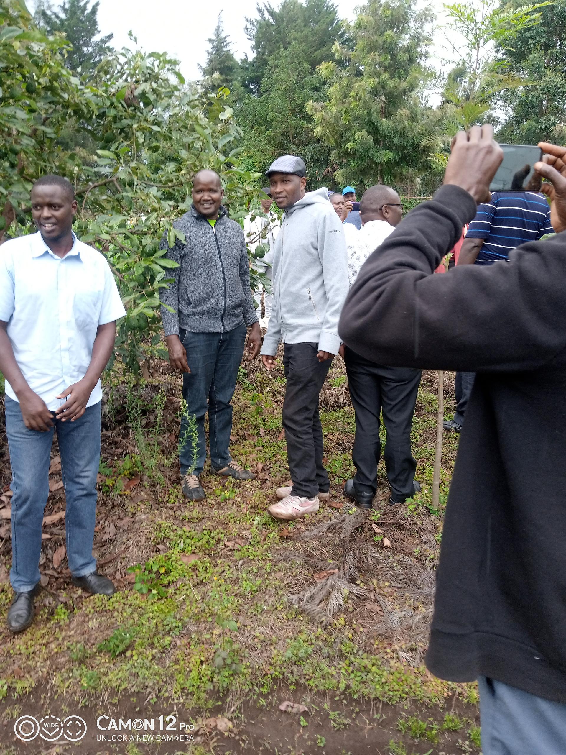 Agroforestry and permaculture