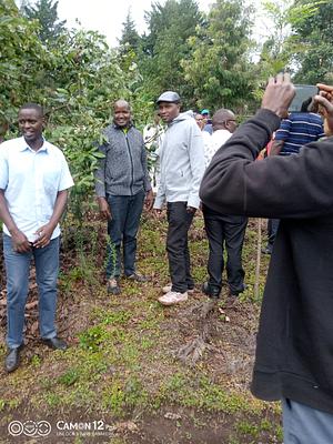 Agroforestry and permaculture